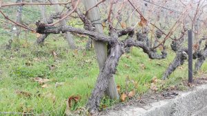 Dezemberimpressionen