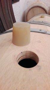 Die neue Slawonische Eiche
